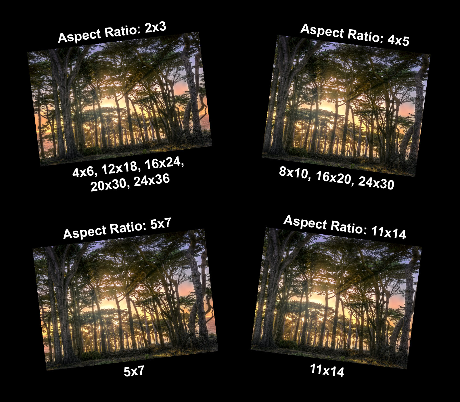 Image showing print sizes and aspect ratios available when printing the photograph.