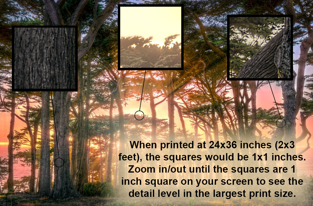 Image showing some zoomed in areas of the photograph to give the viewer an indication of the level of detail in the full sized photograph.